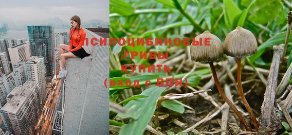 соль курить ск Абинск