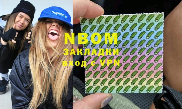 шишки Магас