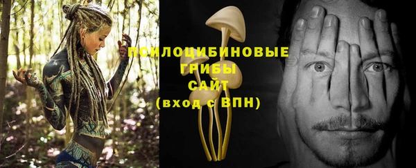 дмт Абаза