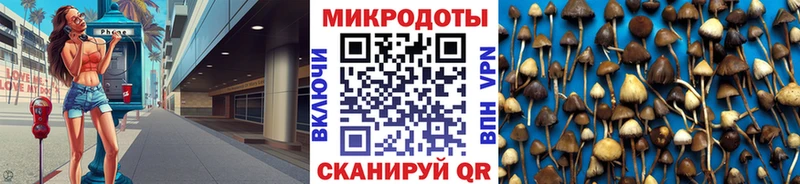 купить закладку  Азнакаево  Галлюциногенные грибы мицелий 